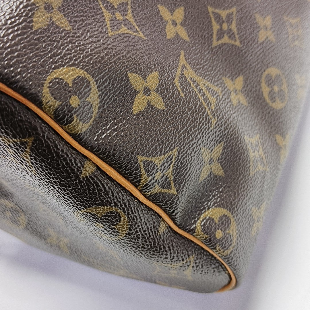 SPEEDY 25 Monogram Coated Canvas Brown
