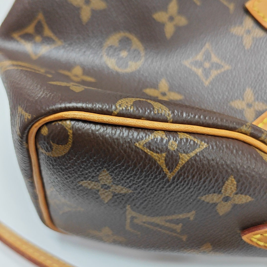 SPEEDY Nano Monogram Coated Canvas Brown
