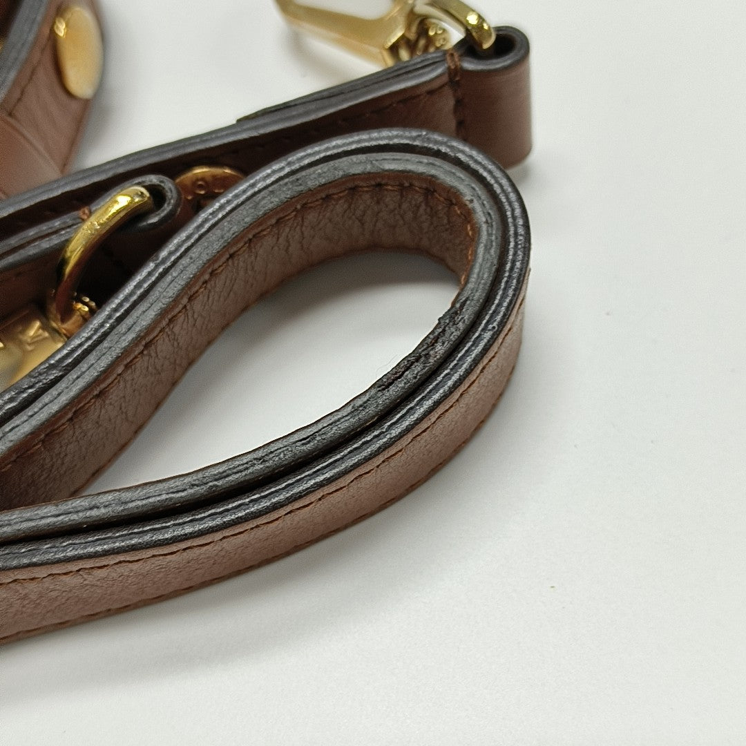 DAUPHINE MM Monogram Coated Canvas Brown