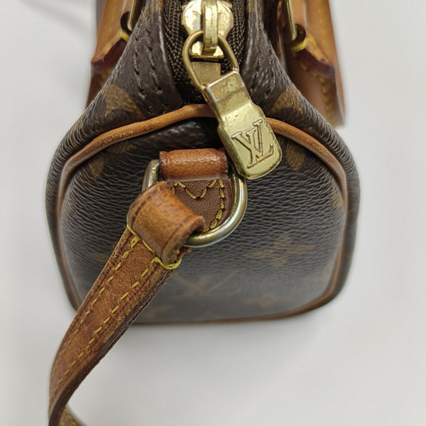 SPEEDY Nano Monogram Coated Canvas Brown