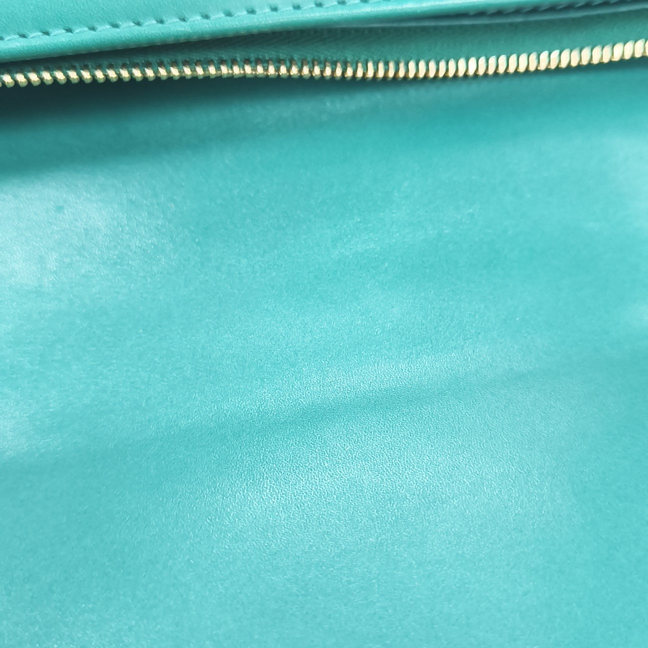 SERPENTI FOREVER Medium Calfskin Green