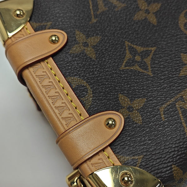 SIDE TRUNK PM Monogram Coated Canvas Brown