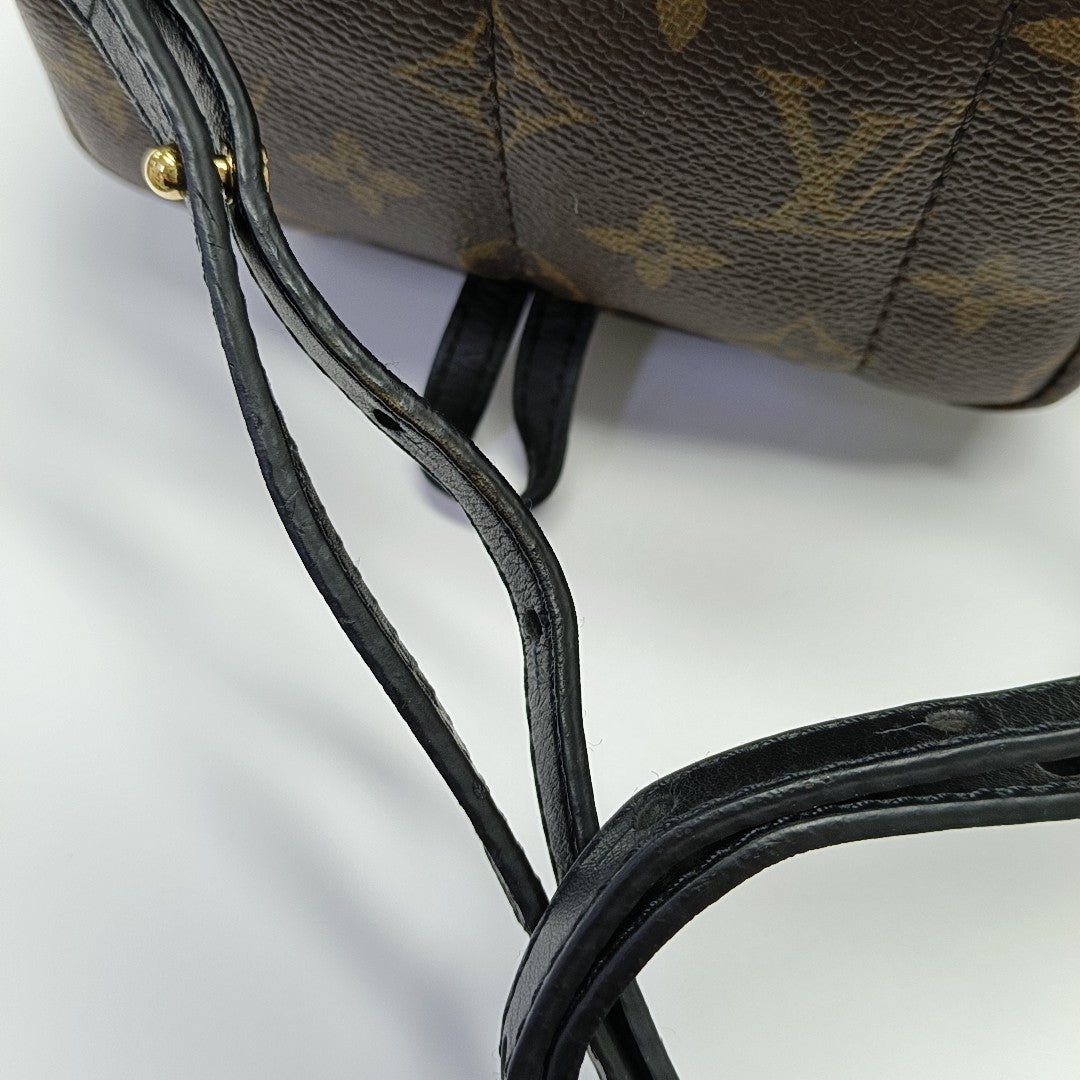 PALM SPRINGS Mini Monogram Coated Canvas Brown