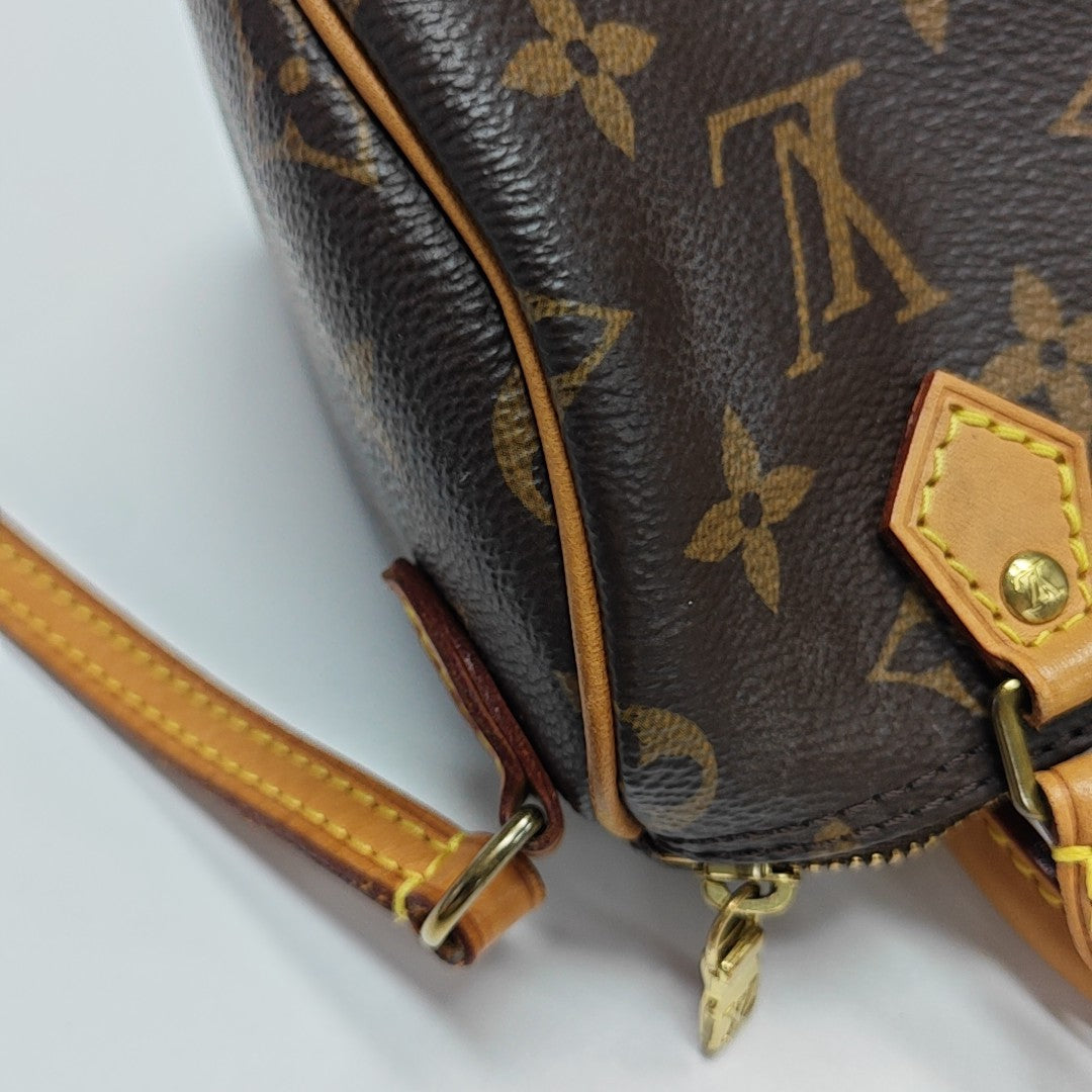 SPEEDY Nano Monogram Coated Canvas Brown