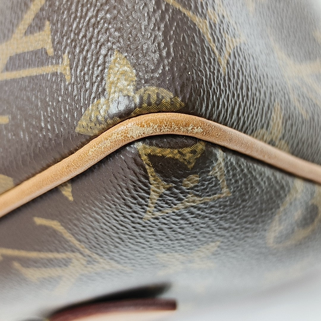 SPEEDY 20 Monogram Coated Canvas Brown