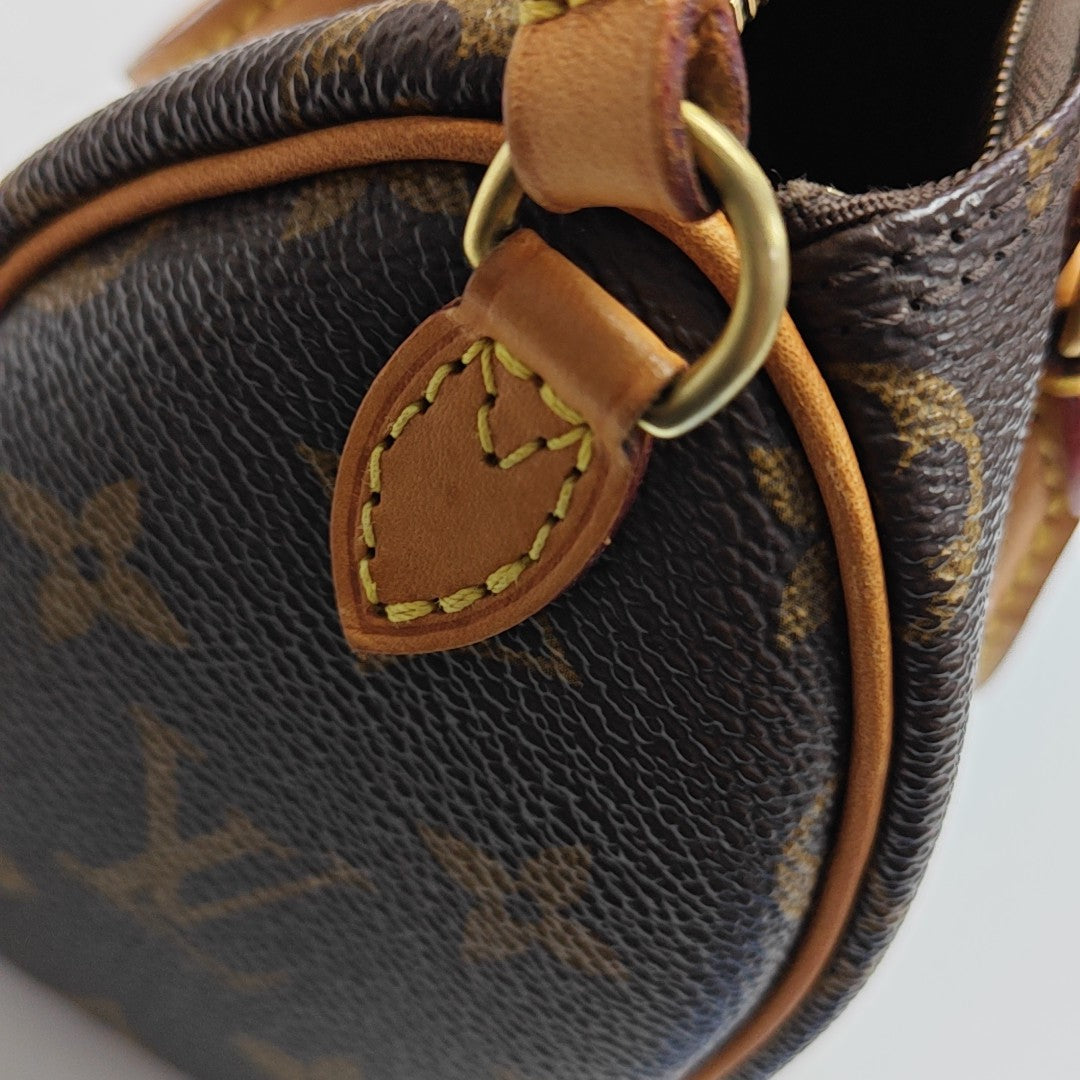 SPEEDY Nano Monogram Coated Canvas Brown