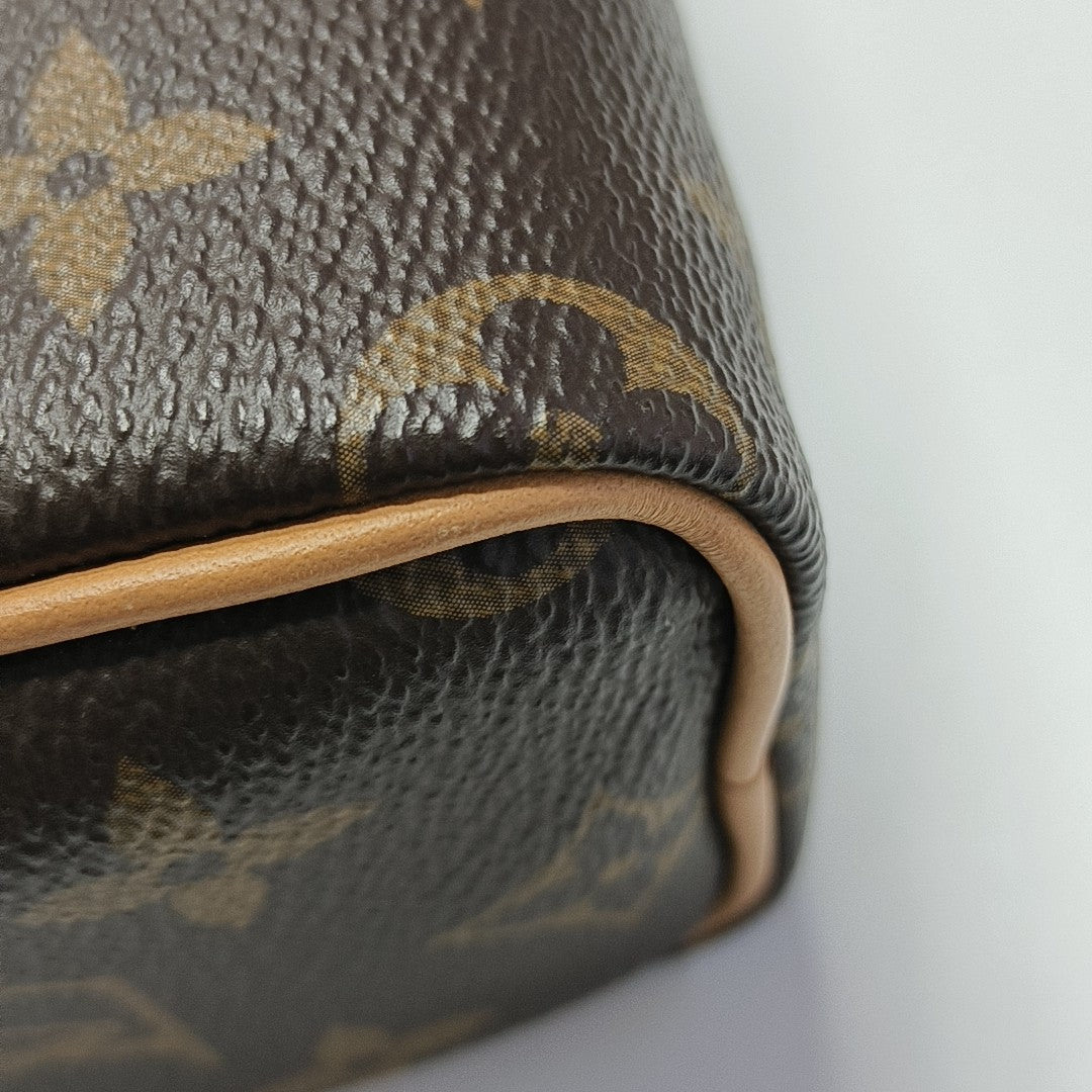 SPEEDY Nano Monogram Coated Canvas Brown