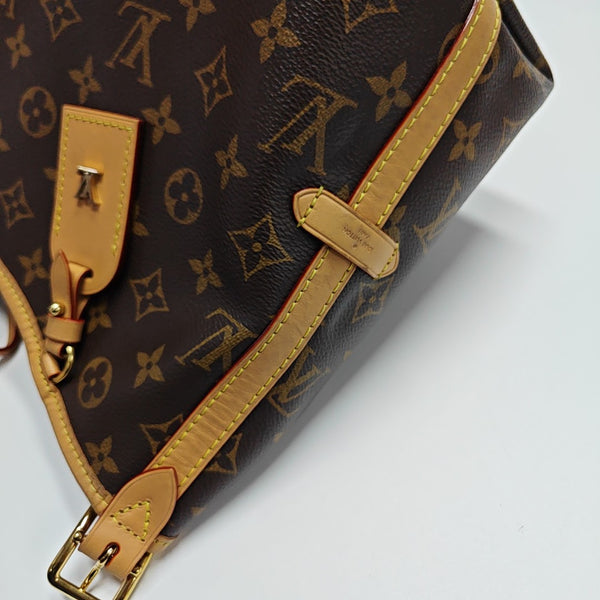 CARRYALL PM Monogram Coated Canvas Brown