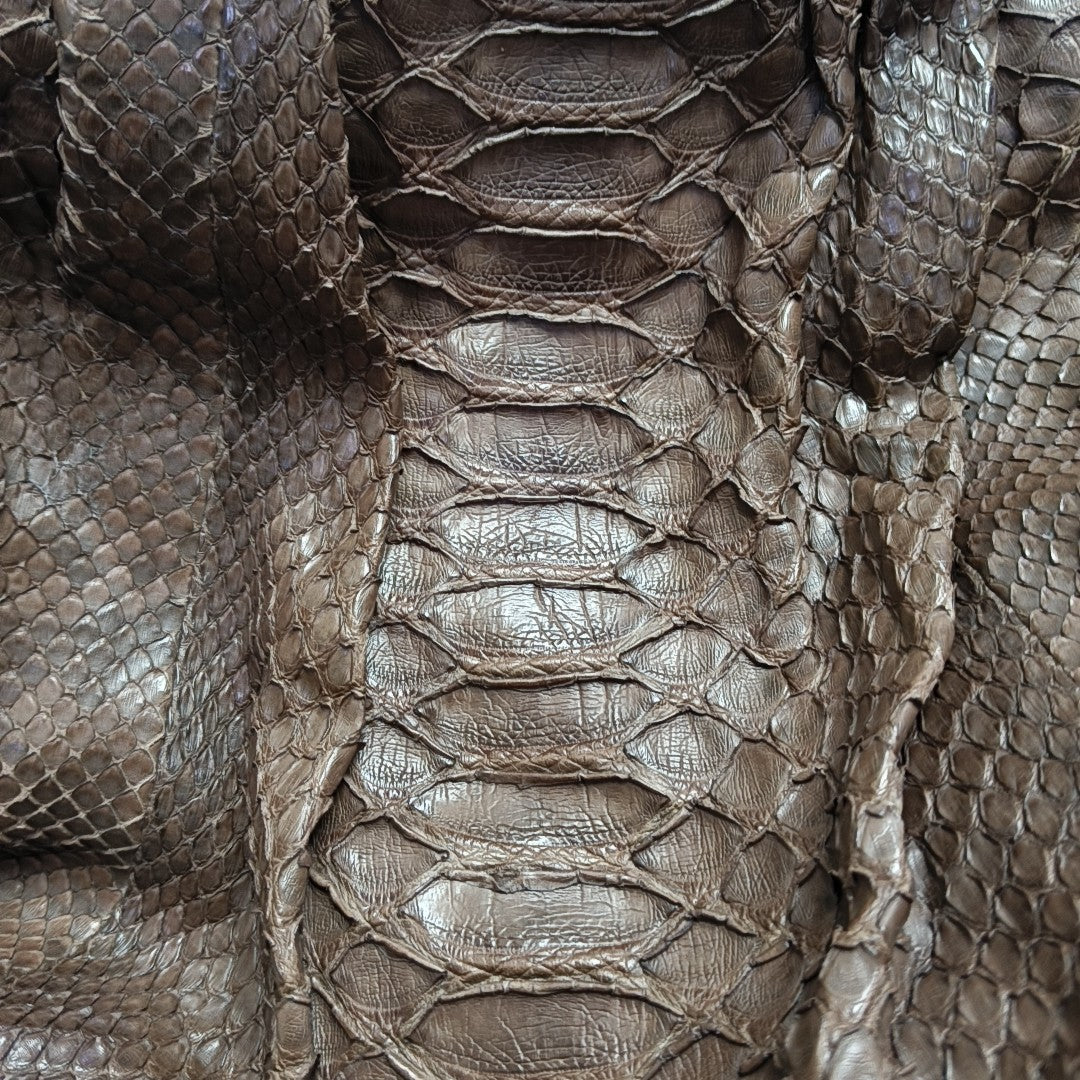 Python Brown
