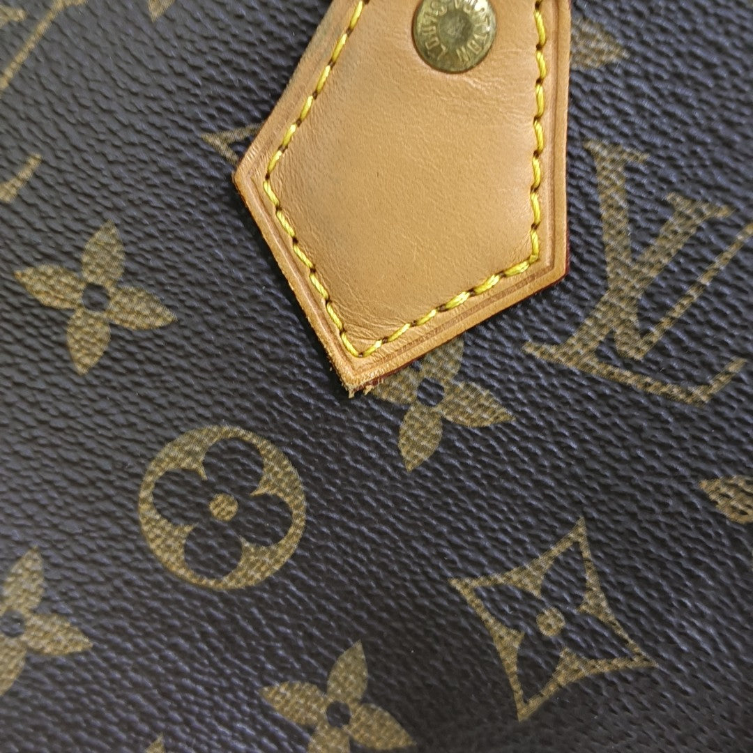 SPEEDY 25 Monogram Coated Canvas Brown