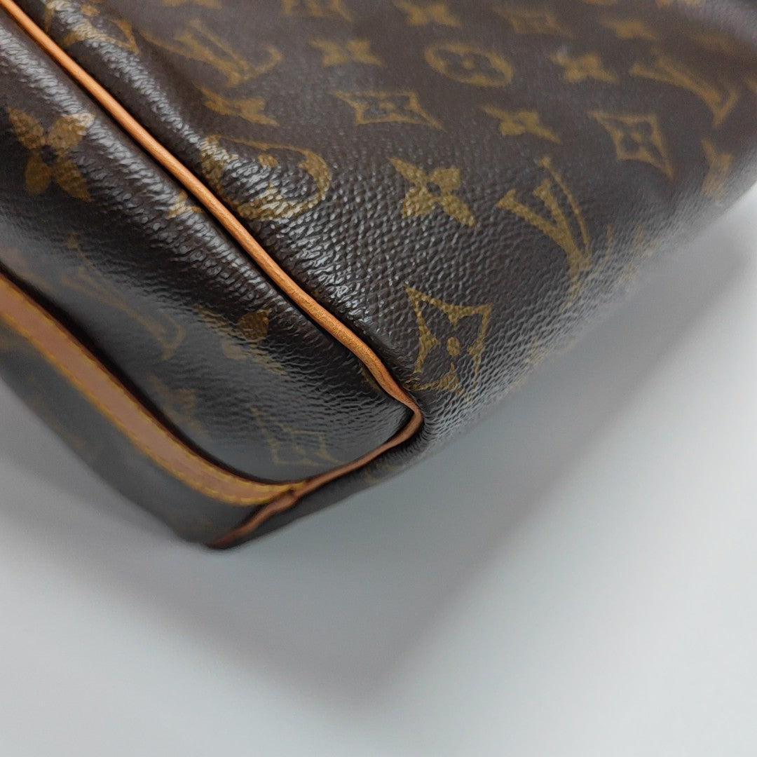 SPEEDY 25 Monogram Coated Canvas Brown