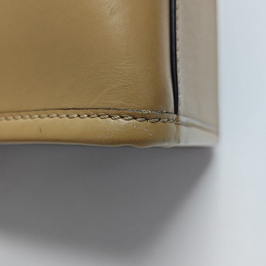 Sunshine Medium Calfskin Brown