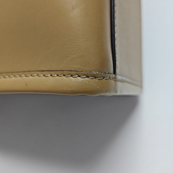Sunshine Medium Calfskin Brown