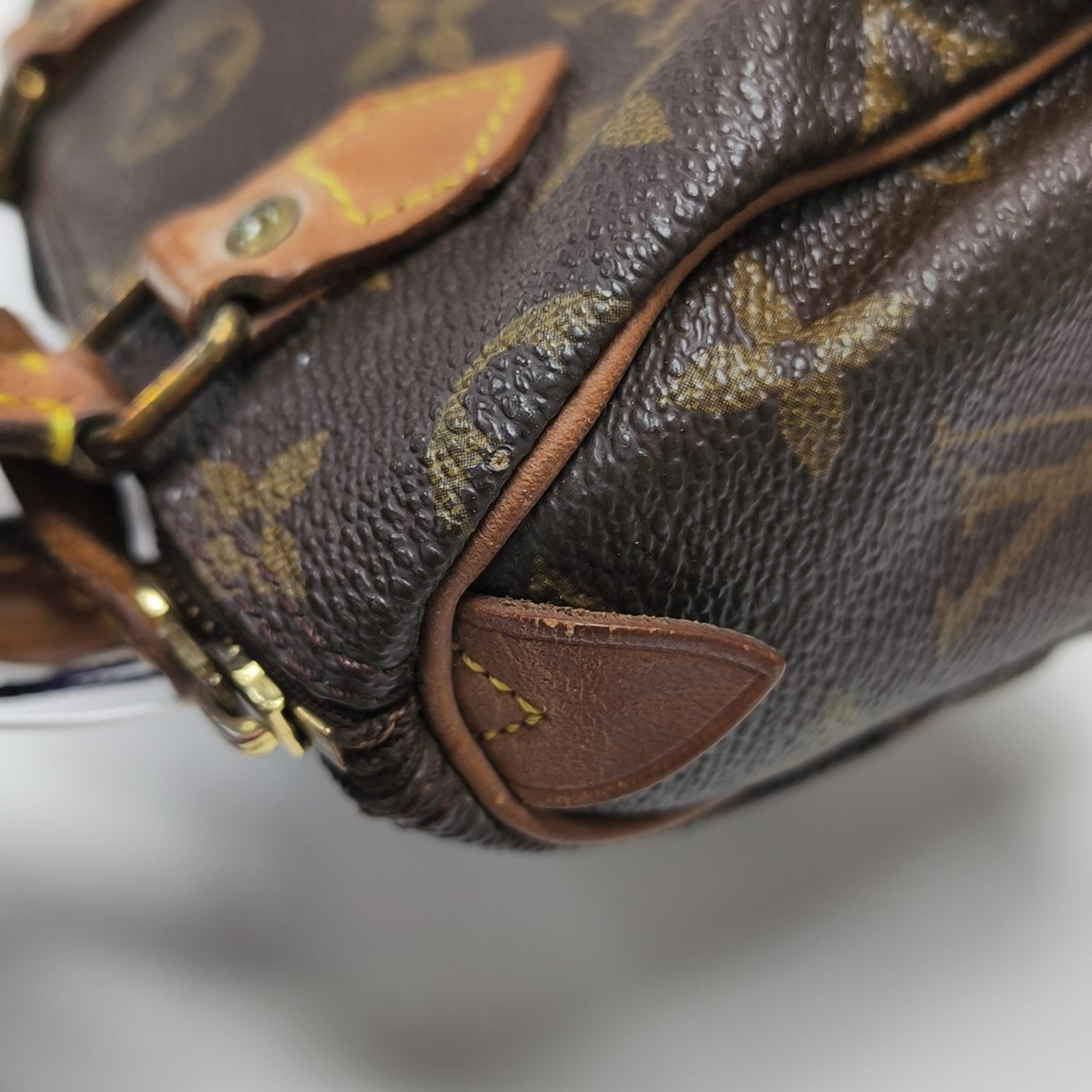 SPEEDY Nano Monogram Coated Canvas Brown
