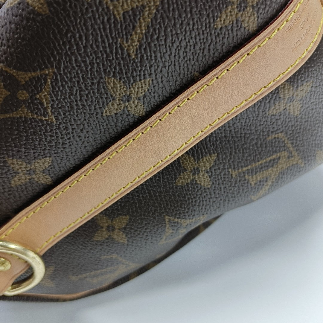 SPEEDY 25 Monogram Coated Canvas Brown