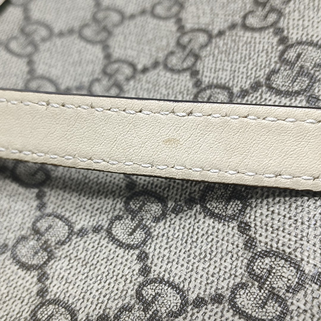 Padlock Small Monogram Coated Canvas Beige