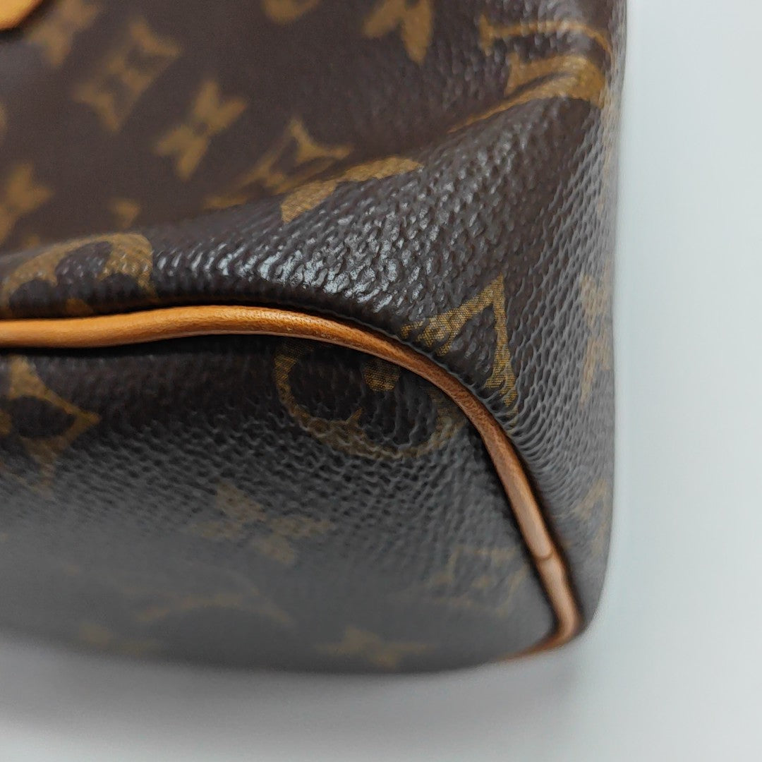 SPEEDY Nano Monogram Coated Canvas Brown