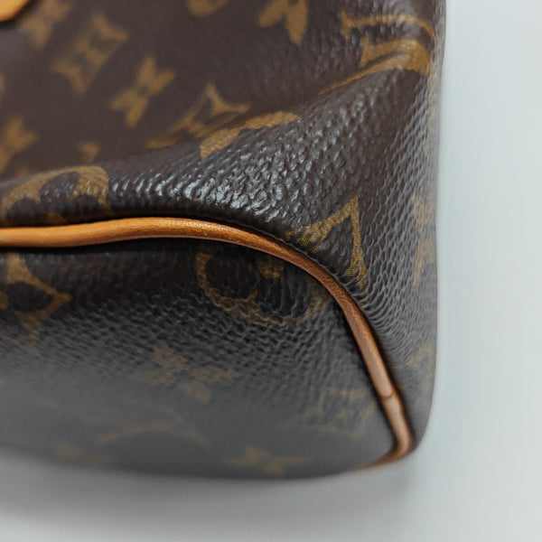SPEEDY Nano Monogram Coated Canvas Brown