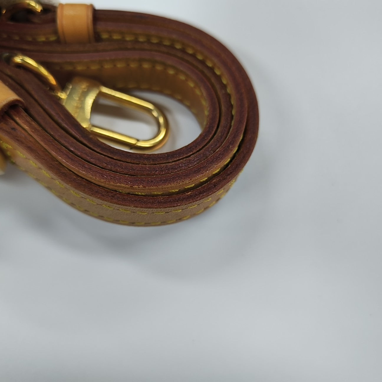 PALERMO GM Monogram Coated Canvas Brown