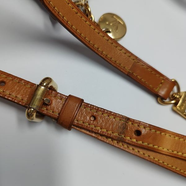PALERMO PM Monogram Coated Canvas Brown