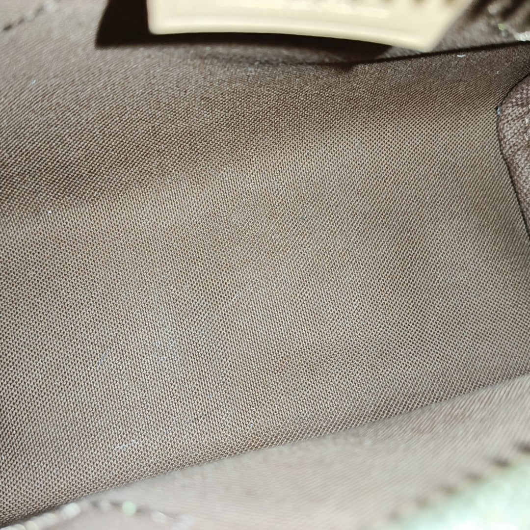 SPEEDY Nano Monogram Coated Canvas Brown