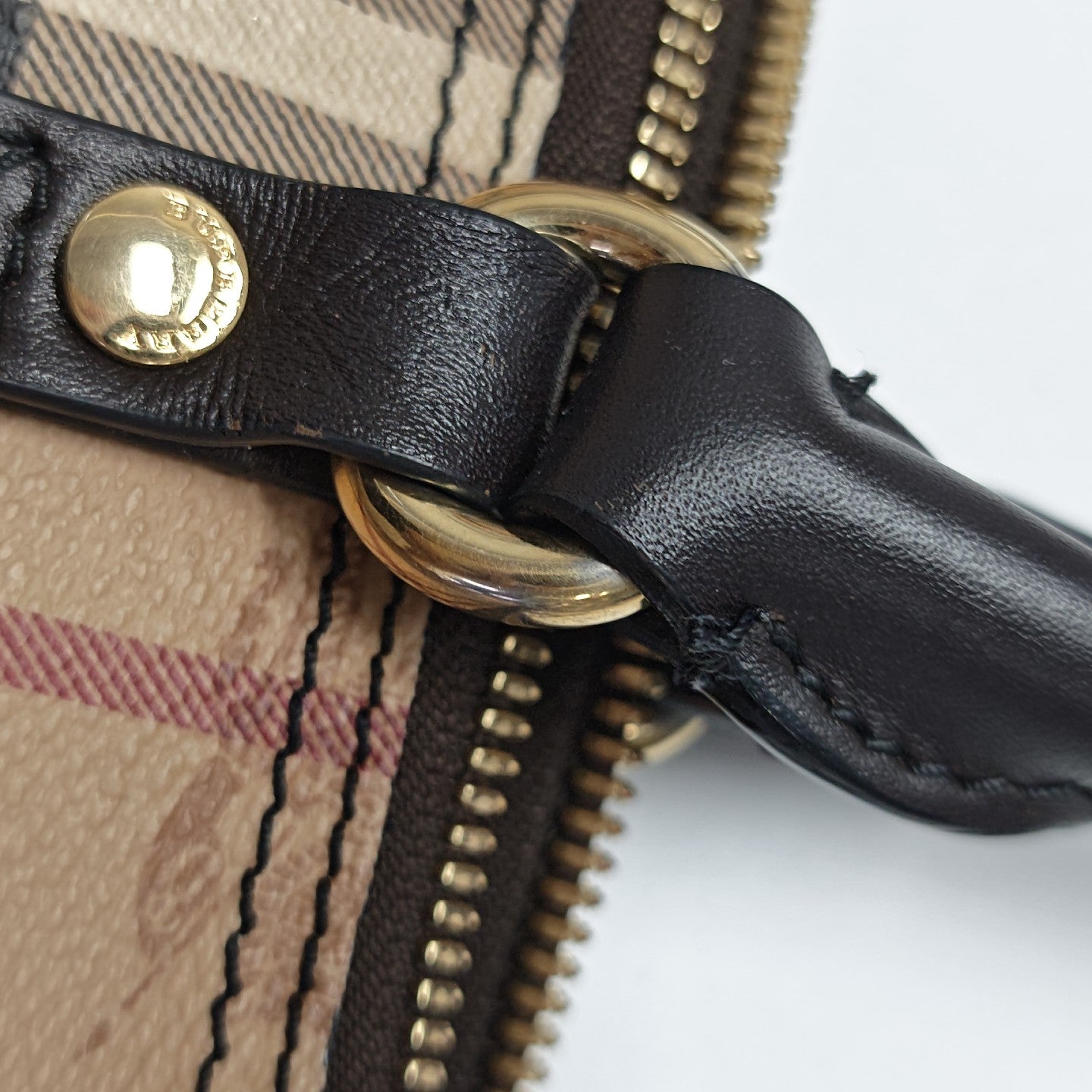 Salisbury Coated Canvas Beige