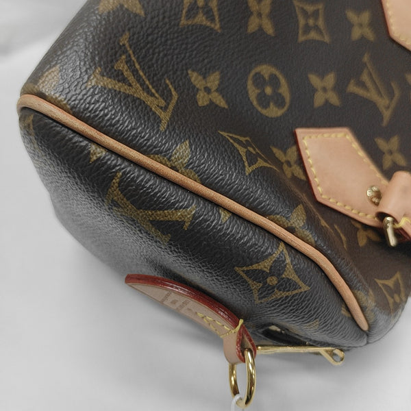 SPEEDY 20 Monogram Coated Canvas Brown