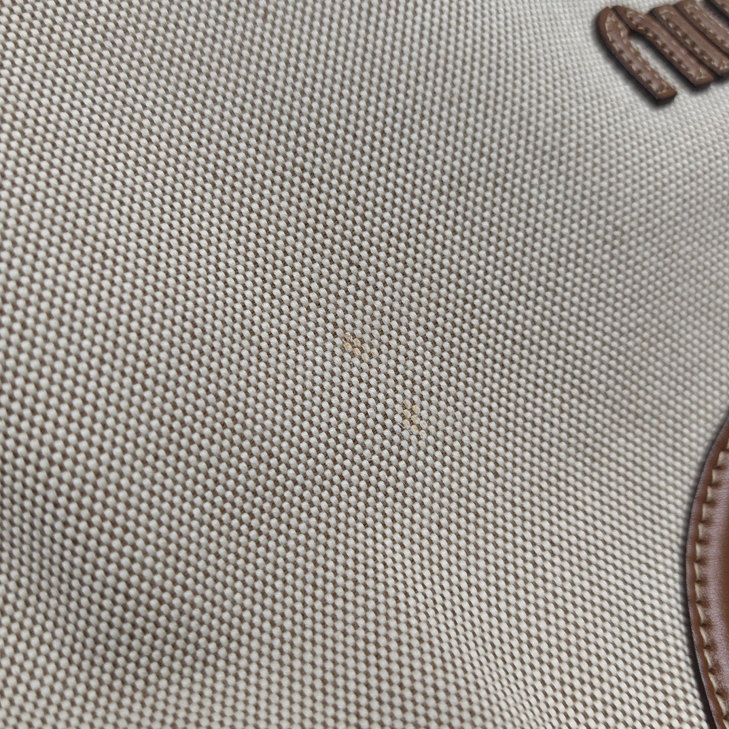 IVY Canvas Beige