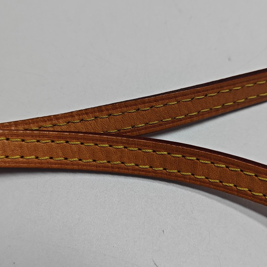 SPEEDY Nano Monogram Coated Canvas Brown