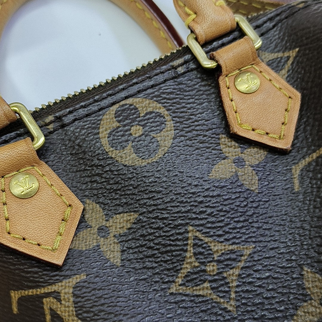 SPEEDY Nano Monogram Coated Canvas Brown