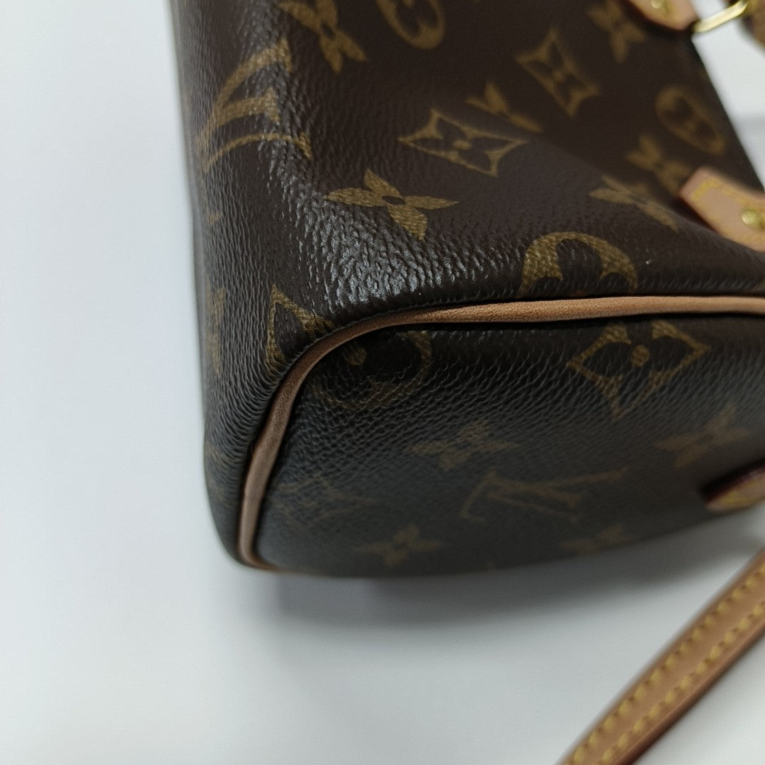 SPEEDY Nano Monogram Coated Canvas Brown