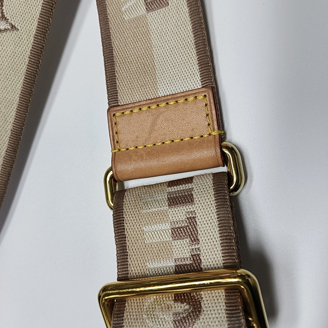 SPEEDY 20 Monogram Coated Canvas Brown
