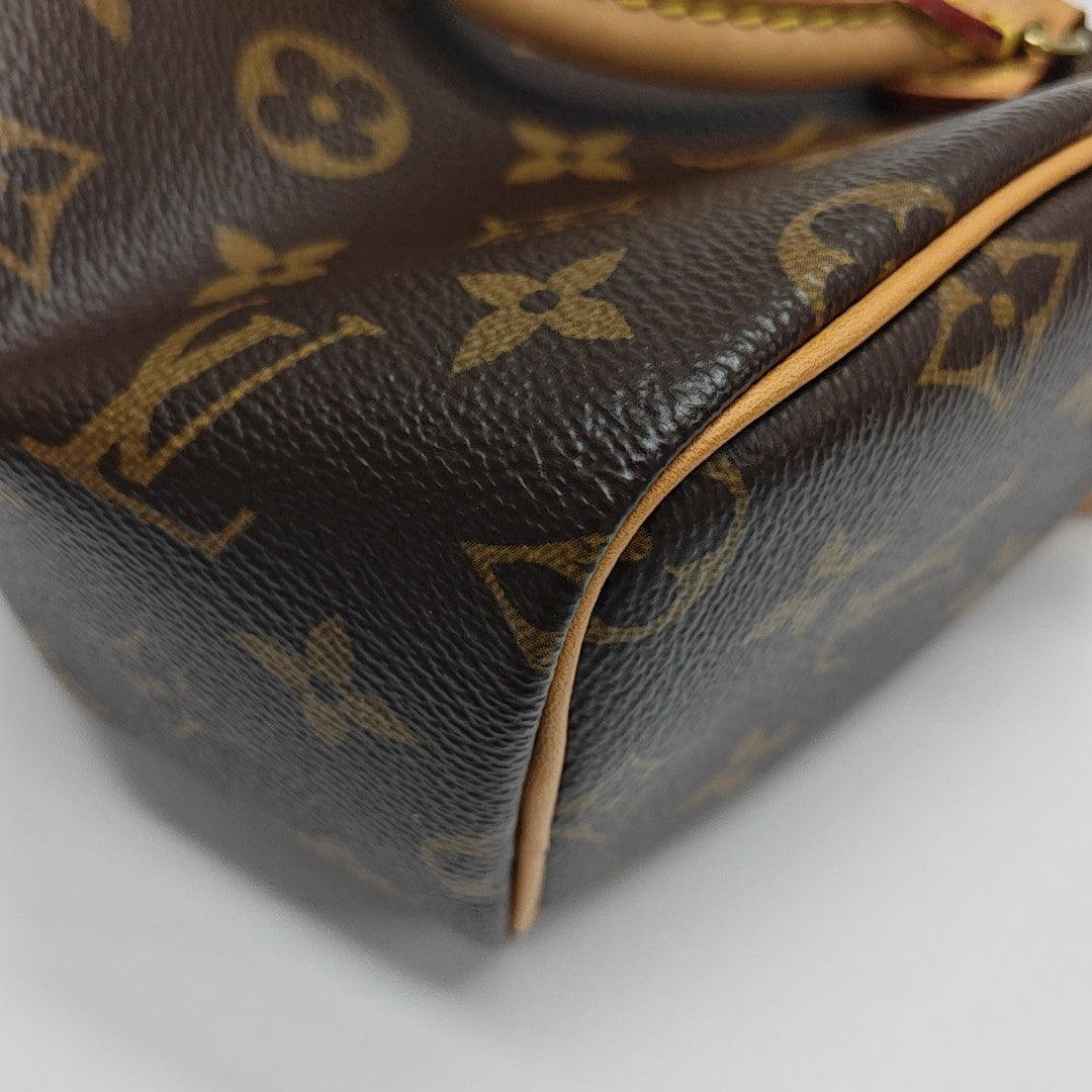 SPEEDY Nano Monogram Coated Canvas Brown