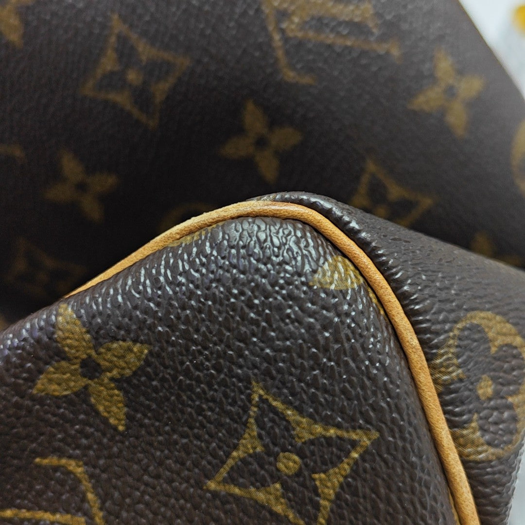 SPEEDY 25 Monogram Coated Canvas Brown