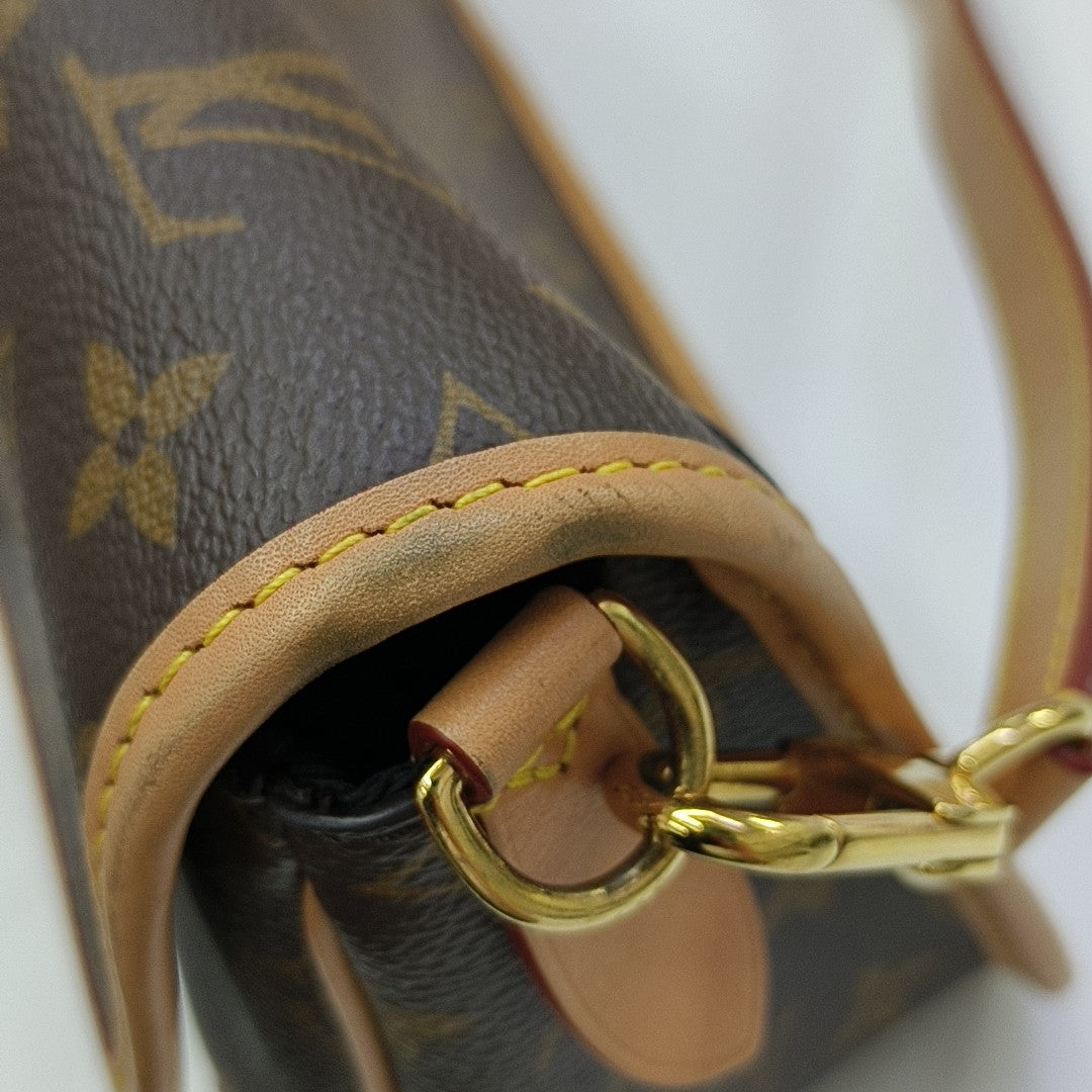 DIANE Monogram Coated Canvas Brown