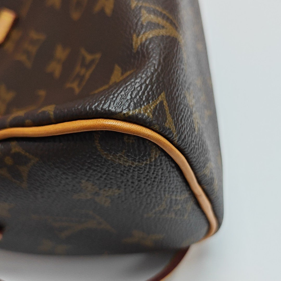 SPEEDY Nano Monogram Coated Canvas Brown