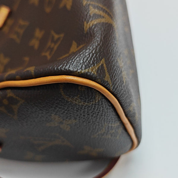 SPEEDY Nano Monogram Coated Canvas Brown