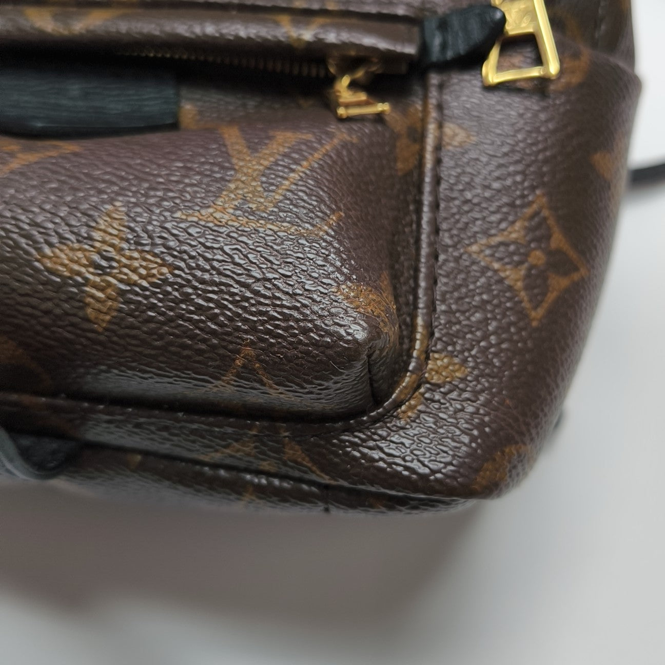 PALM SPRINGS Mini Monogram Coated Canvas Brown