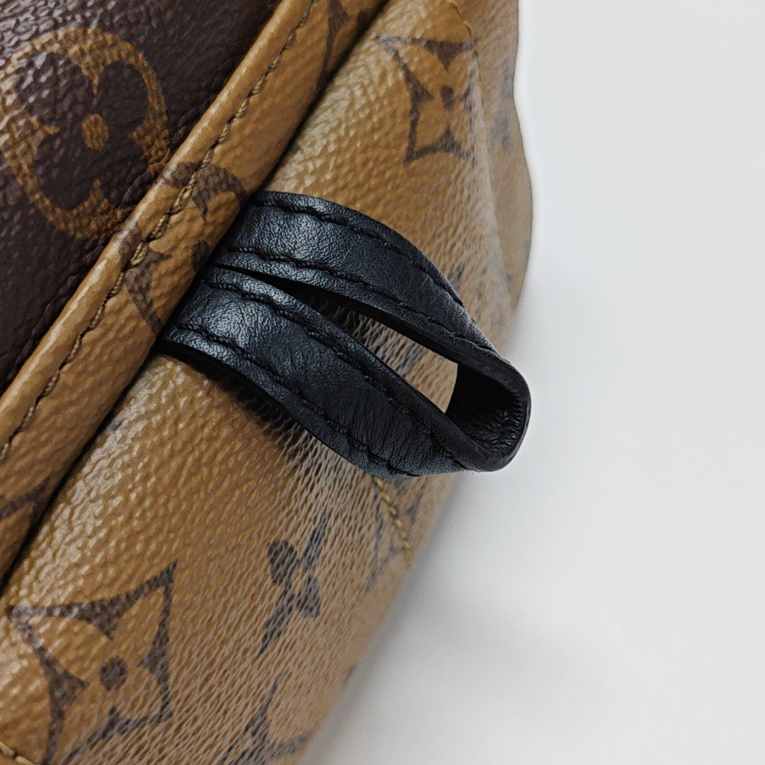 PALM SPRINGS Mini Monogram Coated Canvas Brown