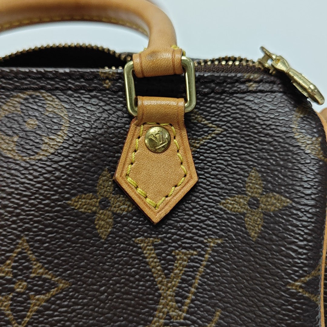 SPEEDY Nano Monogram Coated Canvas Brown