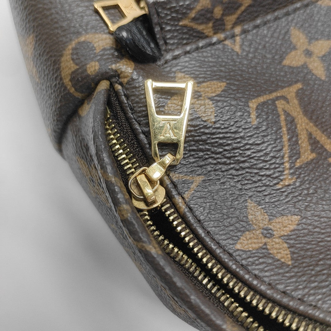 PALM SPRINGS Mini Monogram Coated Canvas Brown