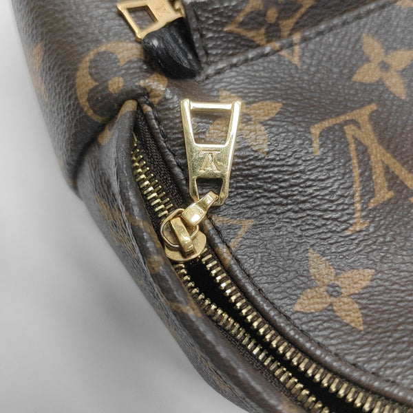 PALM SPRINGS Mini Monogram Coated Canvas Brown