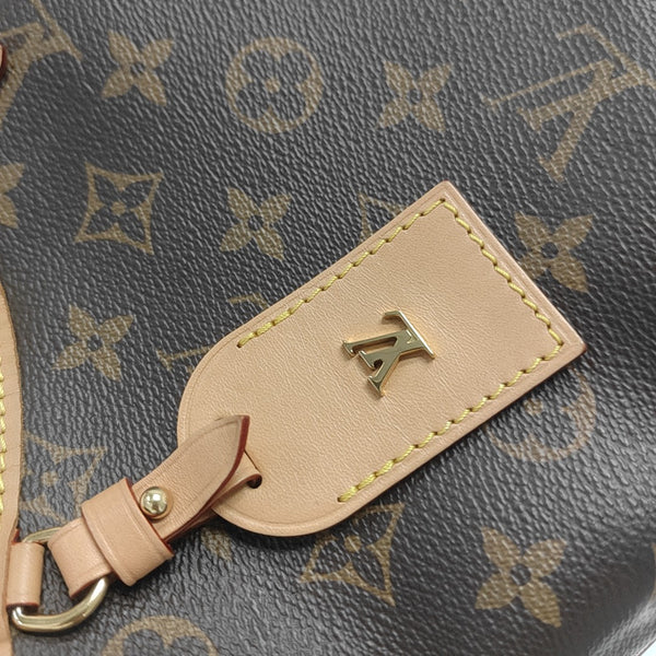 CARRYALL PM Monogram Coated Canvas Brown