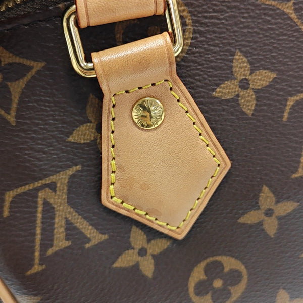 SPEEDY 20 Monogram Coated Canvas Brown