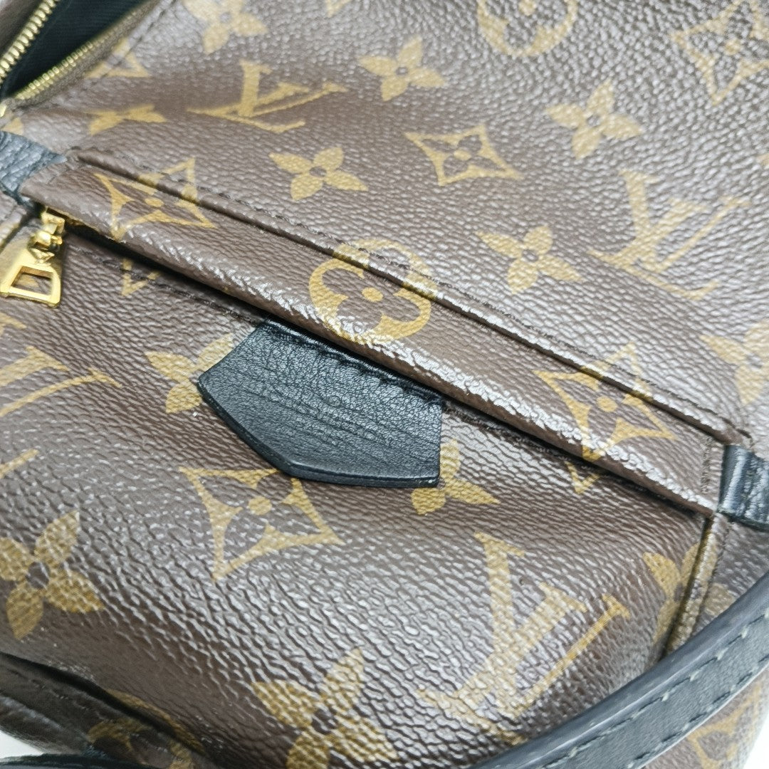 PALM SPRINGS Mini Monogram Coated Canvas Brown