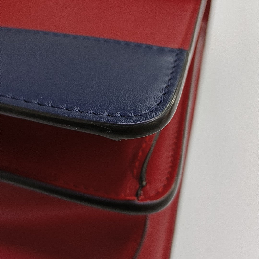 Dionysus Medium Calfskin Red