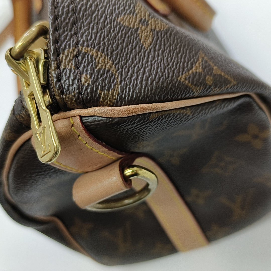 SPEEDY 25 Monogram Coated Canvas Brown