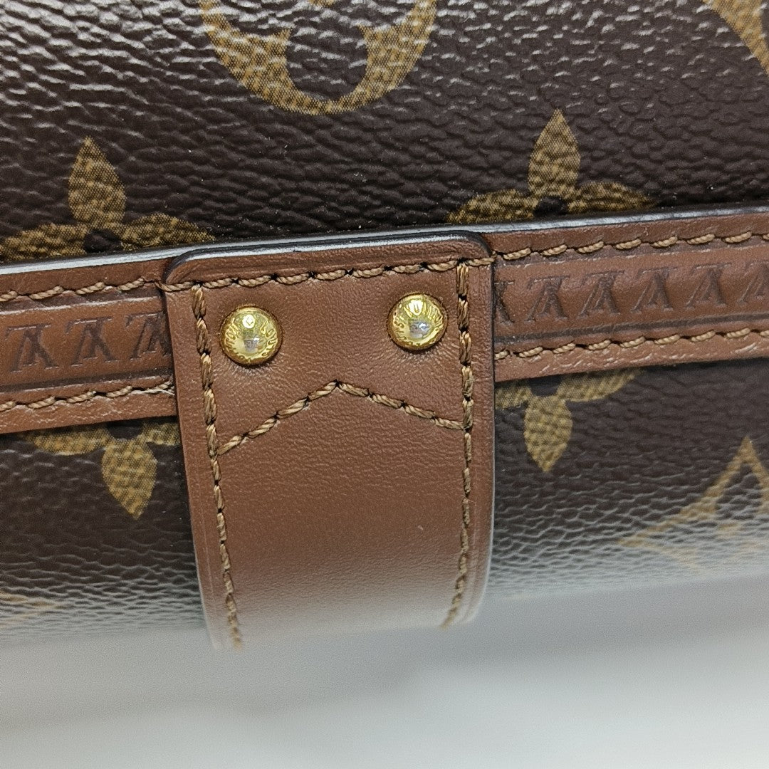 PAPILLON 19 Monogram Coated Canvas Brown