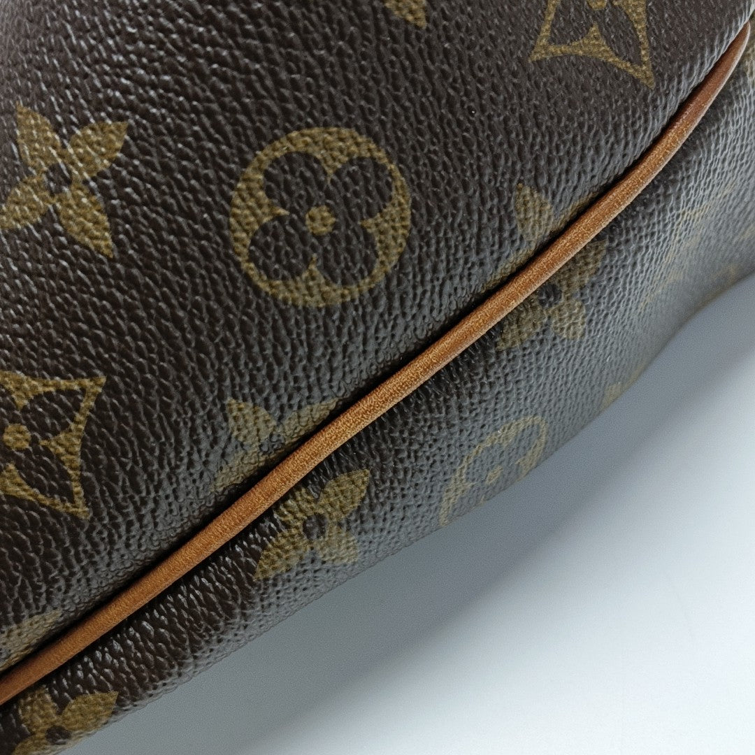 PALERMO PM Monogram Coated Canvas Brown
