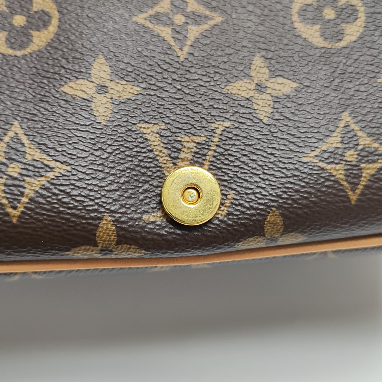 DIANE Monogram Coated Canvas Brown